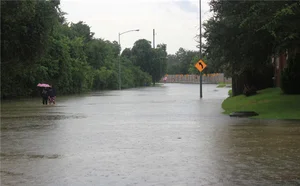 '해수면↑·지반 ↓' 가장 위험한 美 도시는?