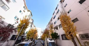 시공사 선정 현장설명회도 온도차..서울 후끈, 비서울 썰렁