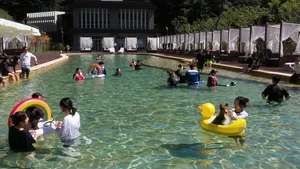 강아지숲, 반려견 동반 수영장 '네이처풀' 개장
