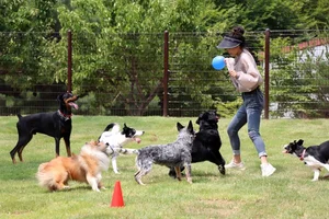 LG유플러스, 반려견 훈련소 ‘포동스쿨’ 용인캠퍼스 개소