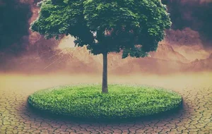 유럽연합, 자연복원법 승인..기후 대응 녹색정책 드라이브