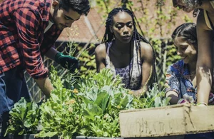 美 베조스펀드, 도시녹지화에 4억 달러 지원