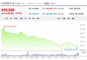LG생활건강, 낮아진 눈높이 못맞춘 2분기 실적..주가는 급반등