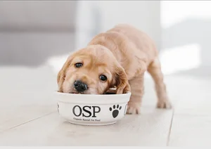 오에스피, 2분기 영업익 4.5억원..35% 감소