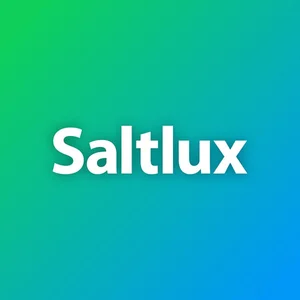 솔트룩스, AI 자회사 플루닛 50억원 투자유치