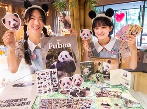에버랜드, 아기 판다 '푸바오' 한정판 굿즈 출시