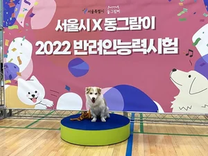 내 반려동물 지식은 몇점? 서울시 2023 반려인능력시험 참가자 모집
