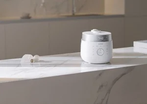 '중국인들이 밥솥 싹쓸이한다?'..뚜껑 열린 밥솥주