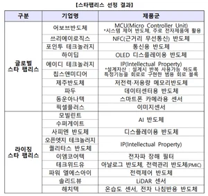 파두 등 20개사 스타 팹리스 업체 선정