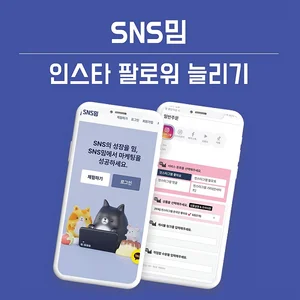 SNS밈, 인스타 팔로워 등 마케팅 상품 자동주문 기능 도입