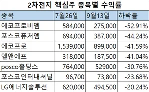 반토막 난 2차전지...2차전지 몰빵 ETF도 비명