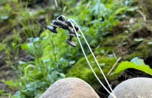 제 몸무게의 22배 무거운 짐 옮기는 탐사용 '곤충로봇' 개발