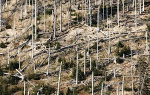 美 농작물 손해보험 보상액 급증…2001년 대비 6.5배↑
