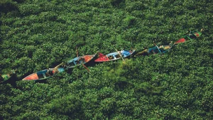 “내 비즈니스가 자연을 파괴하는 활동인가”