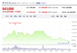 에코프로 형제, 13일 3분기 실적 발표