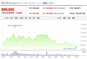 에코프로 형제 부활 랠리에 의료AI, 로봇, 엔터...각종 테마도 활짝