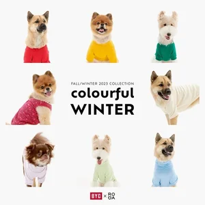 강아지 김장조끼 나온다