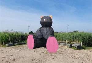 월드컵공원에 동해안 산불피해목으로 만든 대형곰 전시