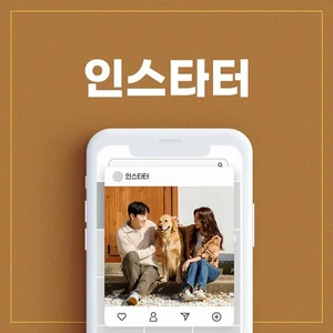 인스타 팔로워 늘리기 '인스타터', 인스타 데일리 도달&노출 상품 출시