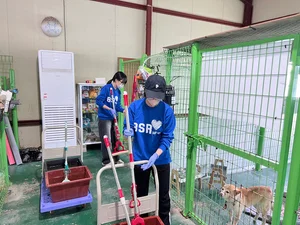 bhc그룹 해바라기 봉사단, 유기견 돌봄 봉사활동