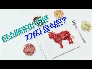 커피와 쌀, 팜유가 탄소배출의 원인?! 탄소배출이 많은 식품 7가지