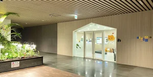 카카오 어린이집 근로복지공단 보육공모전 최우수상 수상 