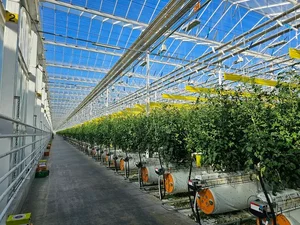 사우디 18만평·전세계 450조 스마트팜 시장 '정조준'