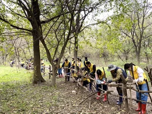 DL그룹, 연말 맞이 임직원 환경정화 봉사활동 실시