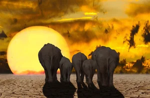 남반구는 펄펄 끊는다..무더위에 잠도 설쳐