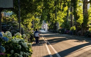 [COP28] 도시 건강을 위협하는 기후 변화에 맞서는 방법