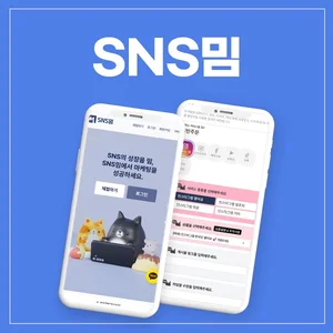 인스타 팔로워 늘리기 'SNS밈', 고객 맞춤상담 실시