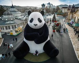 에버랜드, 판다 가족과 함께하는 '연말 스페셜 위크'