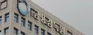금감원·거래소 '워치 독'에 과태료