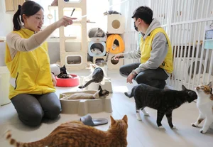 HDC현대산업개발, 본부별 릴레이 봉사활동시작