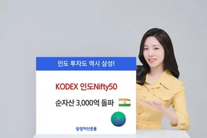 인도 대형주 ETF에 자금 몰린다