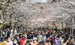 때 이른 더위..이 종목에 '주목'