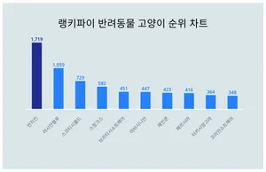 1위 먼치킨·2위 러시안블루·3위 스코티시폴드, 4월 3주차 랭키파이 반려동물 고양이 순위