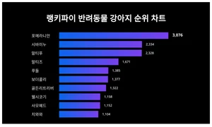 1위 포메라니안·2위 시바·3위 말티푸, 4월 4주차 랭키파이 반려동물 강아지 순위