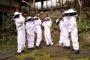 안젤리나 졸리, 세계 벌의 날 맞아 일본 비 스쿨 참가