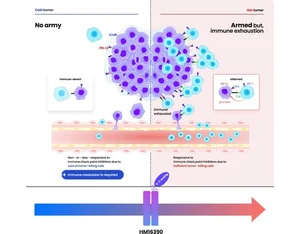 한미약품, 면역조절 항암 혁신신약 FDA 1상 IND 신청