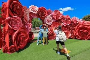 에버랜드 장미축제, 300만 송이 장미 만발