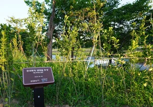 한국투자증권, 서울 중랑천에 '한국투자 생태숲' 조성