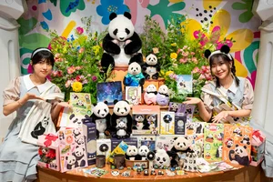 에버랜드, '바오패밀리 팝업 시즌2' 더현대 서울 오픈