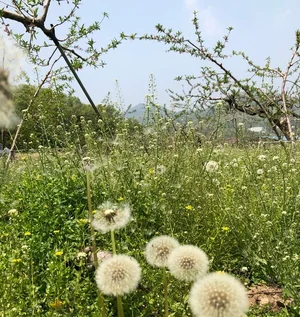 우리나라 토지 보유자 1903만명...1년 새 26만명↑