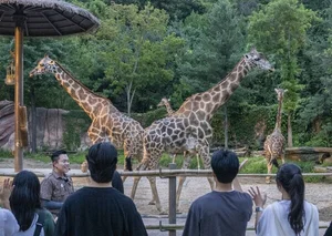 여름방학엔 '에버랜드 동물탐험'