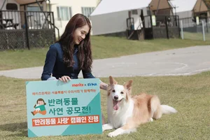 메리츠화재, 반려동물 사랑 캠페인..사연 공모 