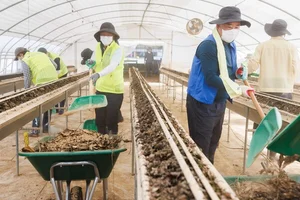 이석용 NH농협은행장, 충남 농가 찾아 수해복구 봉사