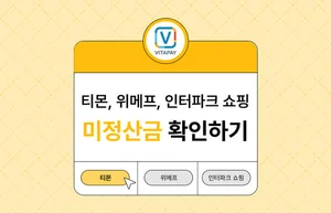 디에스솔루션즈, 티메프 정산금 지연 관련 ‘미정산금 조회 서비스’ 운영