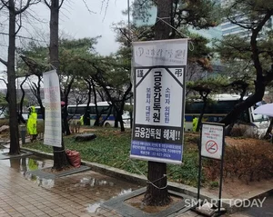 홍콩 ELS 민원보다 더 많은 손보사 민원..대체 왜?