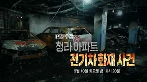 전기차 화재사고후 주차관련 부정적경험 ' ↑'